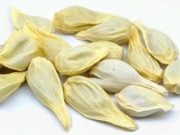 You Will No Longer Throw Lemon Seeds After Reading This