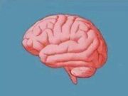 When you have these problems, you are intelligent