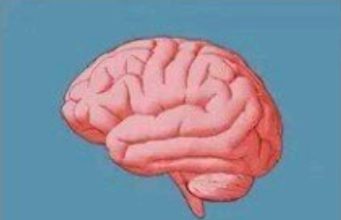 When you have these problems, you are intelligent