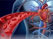 What Makes Your Blood Circulation Poor?