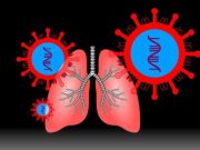 Science Reveals Incredible Body Facts Showing What the Heart, Blood, and Lungs Do Every Moment