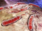 7 Diseases That Can Kill You Within 24 Hours