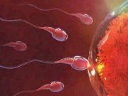 Things Men Are Supposed To Do Daily To Maintain Their Fertility