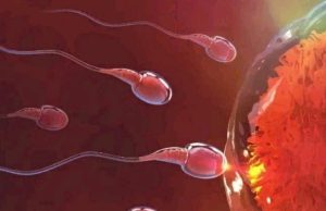 Things Men Are Supposed To Do Daily To Maintain Their Fertility