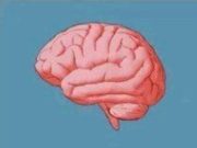 When you have these problems, you are wise