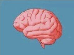 When you have these problems, you are wise