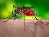 The Truth About Why Mosquitoes Love You