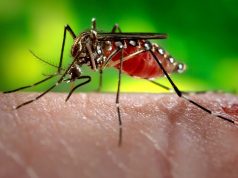 The Truth About Why Mosquitoes Love You