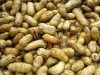 Do You Still Eat Groundnuts? Here’s What They Do to Your Body