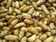 Do You Still Eat Groundnuts? Here’s What They Do to Your Body