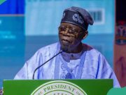 Ogbara-Banjoko Replaces Hussein as Tinubu Appoints New Lagos Rep to CEB