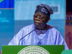 Ogbara-Banjoko Replaces Hussein as Tinubu Appoints New Lagos Rep to CEB