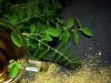 How Can 1 Spoon of Moringa impact your health?