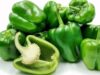 Health Benefits of Green Peppers that Many People May Not Be Aware Of