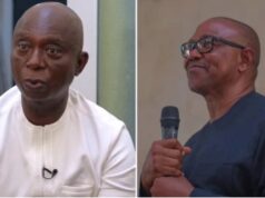 APC Primary: How serving APC lawmakers became casualties of the trap they set for Peter Obi
