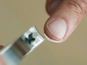 3 Reasons Why You Should Never Try Cutting Your Nails at Night