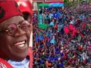 “Mixed Reactions As Crowd Size At Tinubu’s Northern Rally Sparks Debate Online”