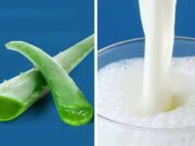Aloe vera And Milk Does Wonders When Mixed Together: Here Are The Secret Benefits Of This Mixture