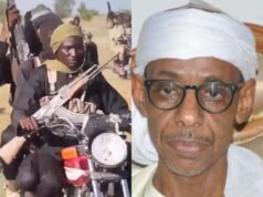 Bandits: They Don’t Use This Money To Buy Mansions In Abuja And Lagos, They Buy More Weapons-Ahmed