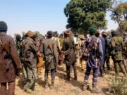 Breaking: Bandits kidnap 50 Zamfara elders as details emerge