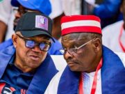 2027 Election: New Twist as Fresh Prophecy Emerges Over Obi-Kwankwaso Ticket