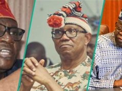 Breaking: Presidency fires direct shots at Peter Obi ahead of 2027 elections