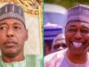 Powerful APC governor reintegrates 720 repentant Boko Haram terrorists in popular northern state