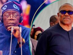 Prophet reveals prediction for Nigeria’s 2027 election, watch video and see details