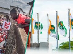 Breaking: Winner announced in APC, LP, ADC, NDC, PDP senatorial battle