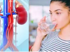 Morning Habits to Keep Your Kidneys in Good Condition | Opinion