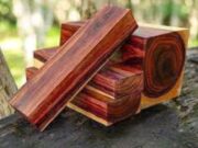 Checkout the Most Expensive tree in the world found in Africa and what is used for (Opinion)