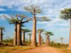 Here Are 6 African Countries That Are Richer Than South Africa