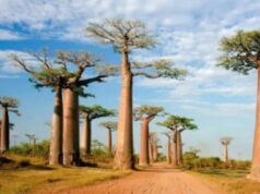 Here Are 6 African Countries That Are Richer Than South Africa