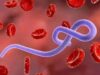 Five Deadly Diseases That Can Quickly Claim Lives