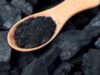 What Scientists Won’t Tell You About Charcoal