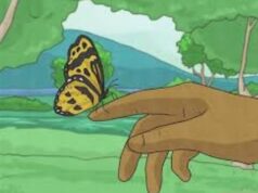 What It Means Spiritually When a Butterfly Lands on You