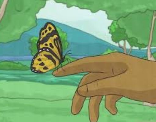 What It Means Spiritually When a Butterfly Lands on You