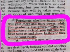 Look At What The Bible Says About Foreigners That Left Everyone In Shock