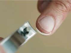 3 Reasons Why You Should Never Try Cutting Your Nails at Night