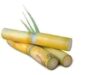 Say Goodbye To These Diseases By Eating Sugarcane Regularly