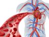Warning Signs That May Indicate Poor Blood Circulation in the Body