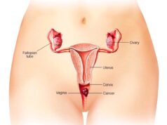7 Foods Every Woman Should Eat Regularly To Keep Their Vagina Healthy