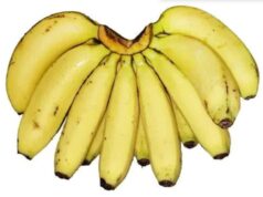 Here is what will happen when you eat a banana first in the morning