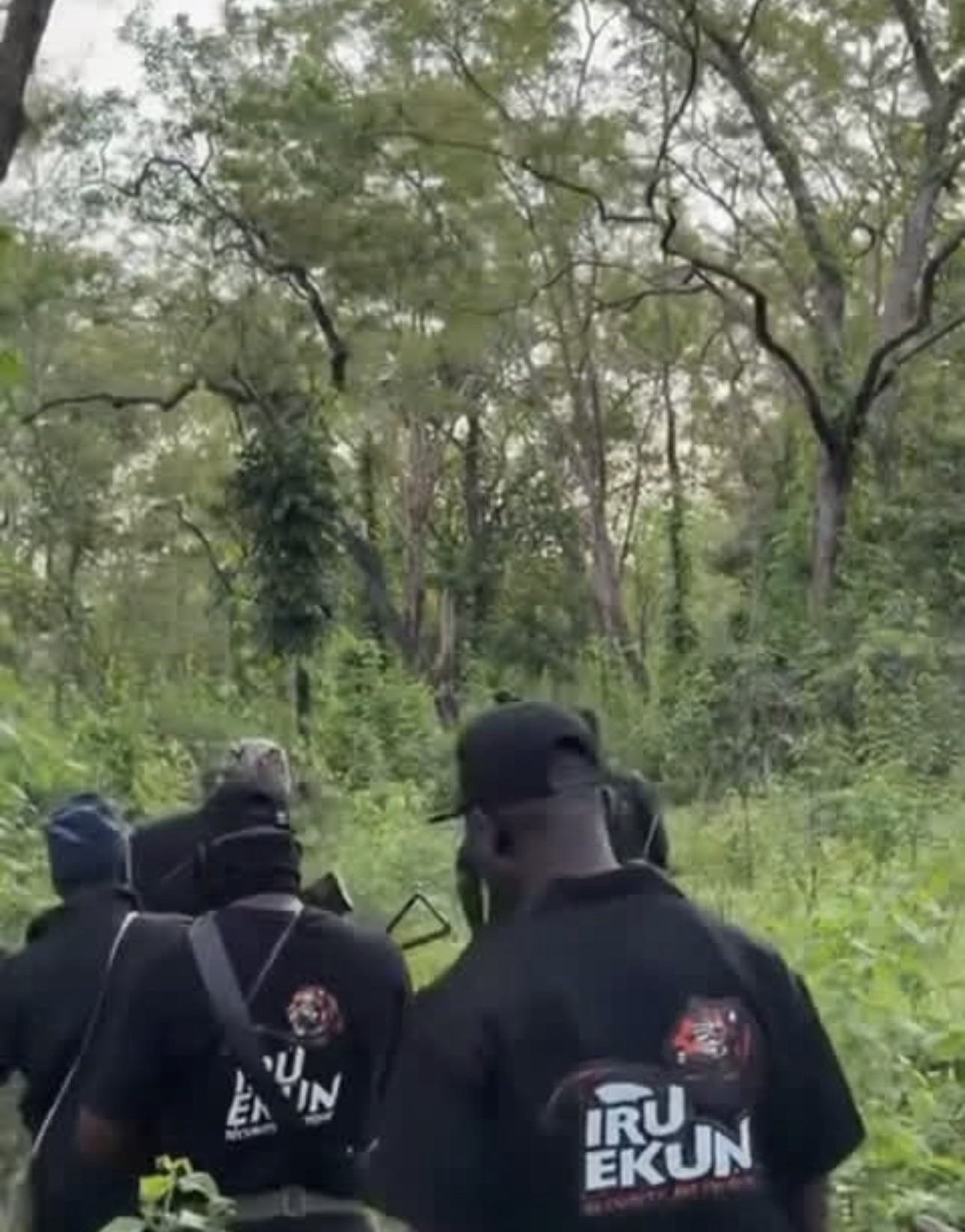 Oyo Abduction: Security Forces, Iru Ekun Intensify Search for Abdvcted Oyo Children in Old Oyo National Park